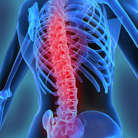 КТ одного отдела позвоночника с внутривенным болюсным контрастированием в Волгограде ул. Пархоменко 1. 