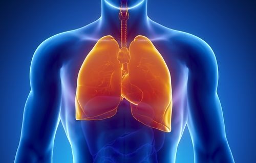 Компьютерная томография КТ органов грудной полости с внутривенным болюсным контрастированием в Волгограде ул. Пархоменко 1 КТ органов грудной полости с внутривенным болюсным контрастированием в Волгограде ул. Пархоменко 1.