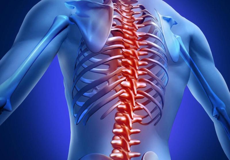 Компьютерная томография МРТ грудного отдела позвоночника в Волгограде ул. Пархоменко 1 МРТ грудного отдела позвоночника в Волгограде ул. Пархоменко 1.