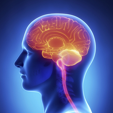 МРТ гипофиза (контраст оплачивается отдельно) в Волгограде ул. Пархоменко 1. 