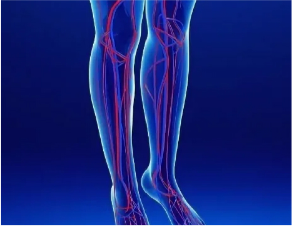 Компьютерная томография Контрастная ангиография артерий нижних конечностей от уровня брюшной аорты включительно в Волгограде ул. Пархоменко 1 Контрастная ангиография артерий нижних конечностей от уровня брюшной аорты включительно в Волгограде ул. Пархоменко 1.