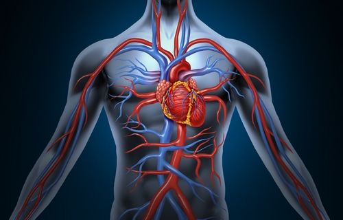 Компьютерная томография Контрастная ангиография брюшного отдела аорты и ее ветвей в Волгограде ул. Пархоменко 1 Контрастная ангиография брюшного отдела аорты и ее ветвей в Волгограде ул. Пархоменко 1.