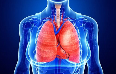 КТ органов грудной клетки (лёгкие, органы средостения, трахея, бронхиальное дерево,  кости грудной клетки) в Волгограде ул. Пархоменко 1. 