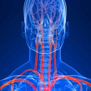 МРТ шейного отдела позвоночника в Волгограде ул. Пархоменко 1. 