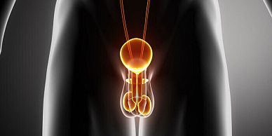 МРТ мошонки в Волгограде ул. Пархоменко 1. 