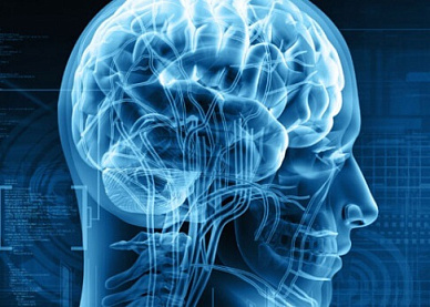 МРТ Контрастирование в Волгограде ул. Пархоменко 1. 