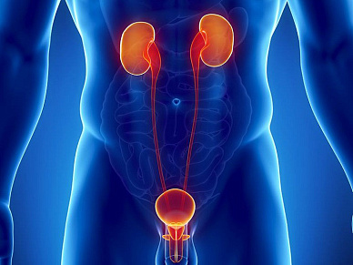 КТ почек и мочевыводящих путей - МВС (мочевыводящей системы) в Волгограде ул. Пархоменко 1. 