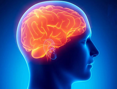 МРТ головного мозга в Волгограде ул. Пархоменко 1. 