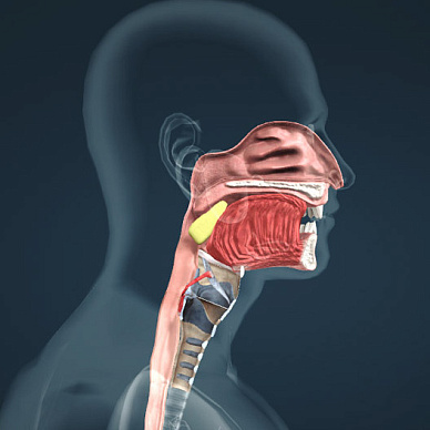 МРТ мягких тканей шеи (слюнных желез, миндалин, глотки, гортани, щитовидной железы, лимфоузлов) в Волгограде ул. Пархоменко 1. 
