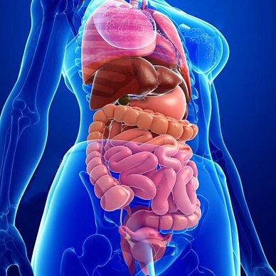 МРТ органов брюшной полости и забрюшинного пространства в Волгограде ул. Пархоменко 1. 
