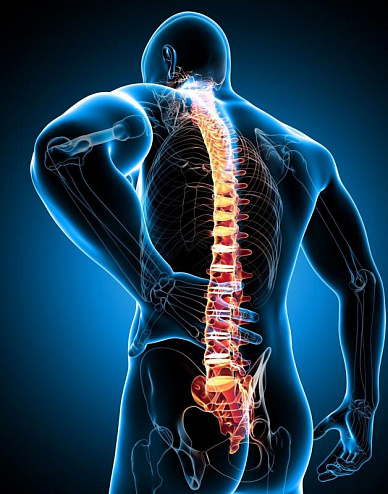 МРТ трех отделов позвоночника в Волгограде ул. Пархоменко 1. 