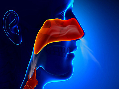 КТ придаточных пазух носа в Волгограде ул. Пархоменко 1. 