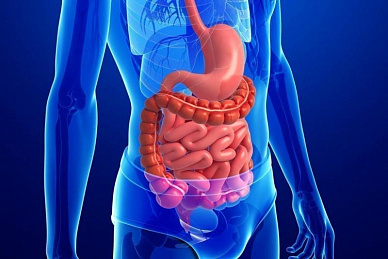 КТ органов брюшной полости, забрюшинного пространства (без таза) в Волгограде ул. Пархоменко 1. 
