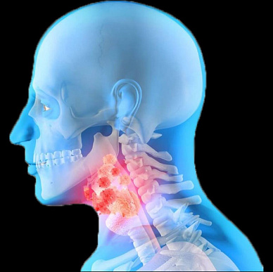 КТ мягких тканей шеи в т.ч. гортани и глотки с внутривенным болюсным контрастированием в Волгограде ул. Пархоменко 1. 
